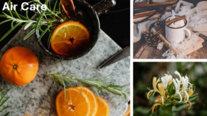 Several aromatic objects including an orange, flowers, and cinnamon.